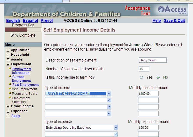 Self Employment Income Details Detailed information