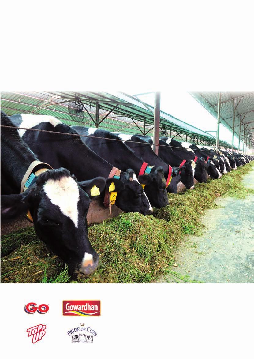 Ideas for a new day Parag Milk Foods Limited Annual Report 2015-16 There are thousands of dairies in India. Parag has dared to be different, in every way it can. Product innovation. Creating markets.