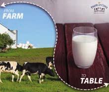 Ideas for a new day Generating a stronger Brand recall A strong and recognisable brand is a prerequisite for success in the dairy products industry.
