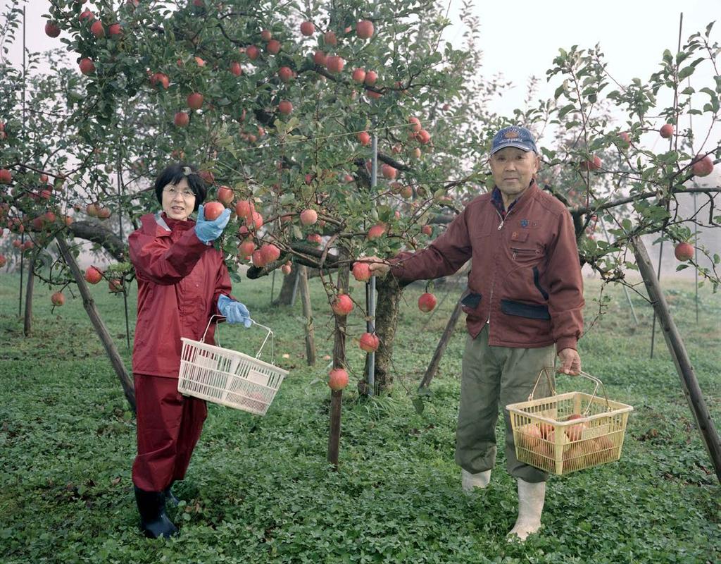 Statistical Handbook of Japan 2017 by Statistics Bureau, Japan Chapter 12 Labour NASUKAWA Fumio An apple orchard in Oshu City, Iwate Prefecture. The branches are heavy with bright red apples.