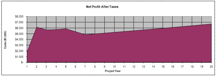 Visuals of Pro Forma Statements Example: Net profit
