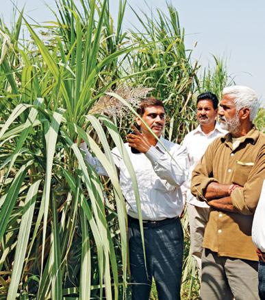 Corporate Overview Management statements Management REPORTS FINANCIAL statements Sugar production As per industry estimates, the country s sugar production for the SS 2016-17 is forecast at 20.