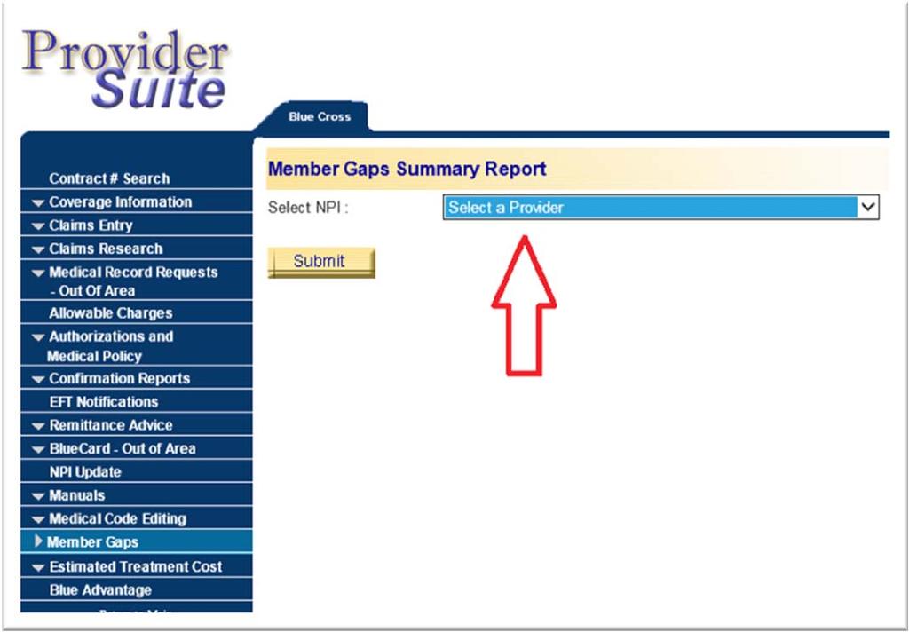 Accessing the Member Gaps Report 3. This opens the Member Gaps Summary Report landing page.