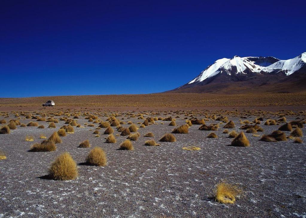 Altiplano Options Al ti pla no [al-tuh-plah-noh; for 1 also Spanish ahl-tee-plah-naw] 1. A plateau region in South America, situated in the Andes of Argentina, Bolivia and Peru. 2.
