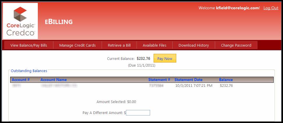 The View Balance/Pay Bill page opens, as shown here.