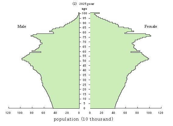 100 80 60 40 20 0 0 20 40 60 80 100 120 Population Pyramid: Medium Variant, 2025 (tens of thousands) age 100