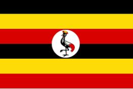 Bujagali Hydro Power Project Uganda A 250 MW hydro power plant built under BOOT scheme.30 year PPA signed with UETCL.