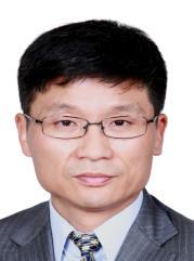 Group Chief Development Officer Lai