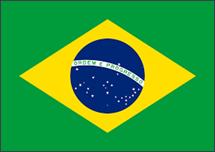Global Developments NEW ANTI-CORRUPTION LEGISLATION Brazil New guidance on leniency agreements issued August 2017 Codifies existing