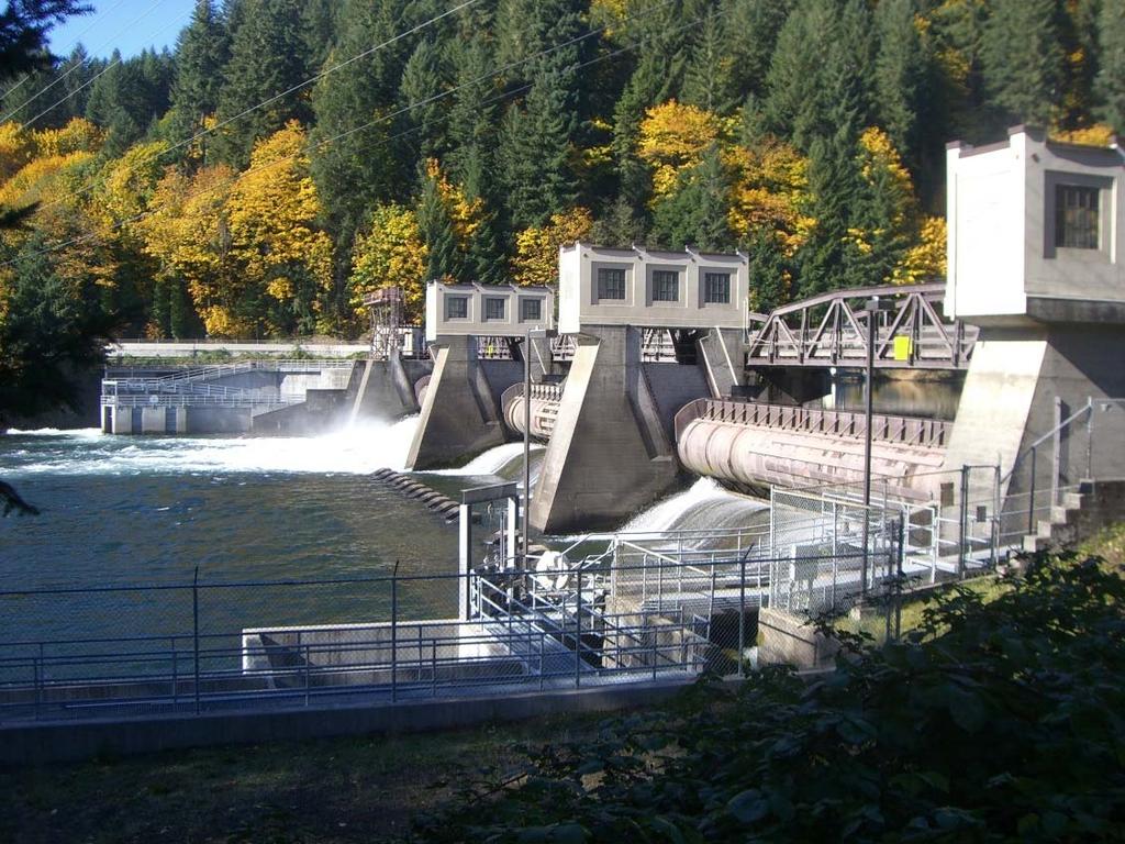 Eugene Water & Electric Board 208 Adopted