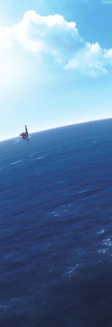 OFFSHORE ENGINEERING BUSINESS Revenue: RMB11.