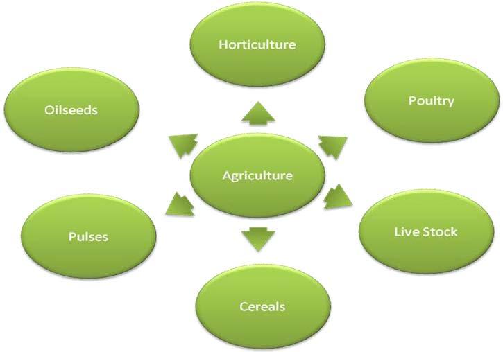 Structure of Agriculture Business HORTICULTURE Overview of Horticulture Industry in India The Horticulture basket comprises of fruits, vegetables, root and tuber crops, flowers, aromatic and