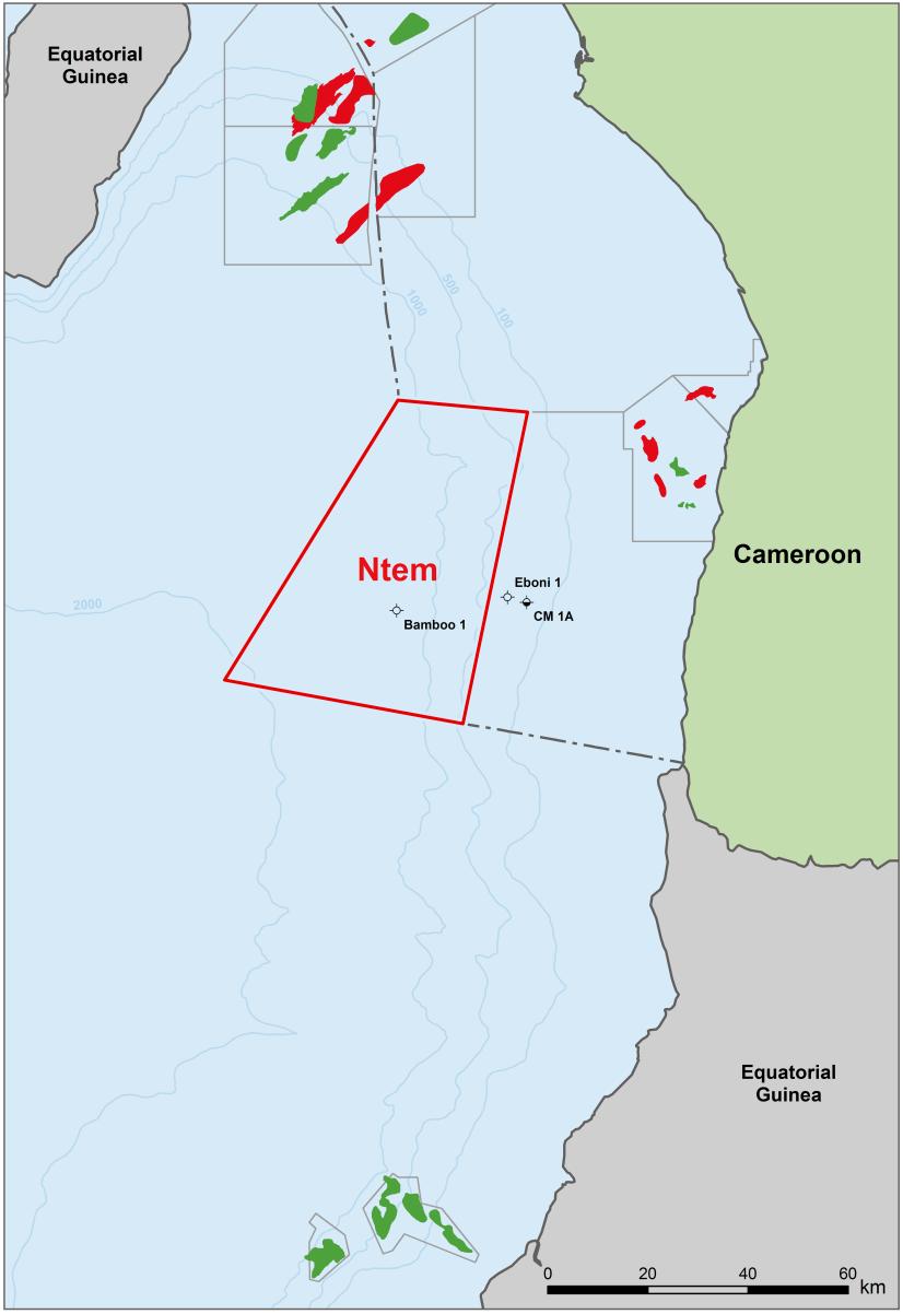 Cameroon - Exploration Setting Block I, O and Yo-Yo Miocene discoveries made by Noble Energy Ebome Fields Perenco operated production, principally from Lower Cretaceous.