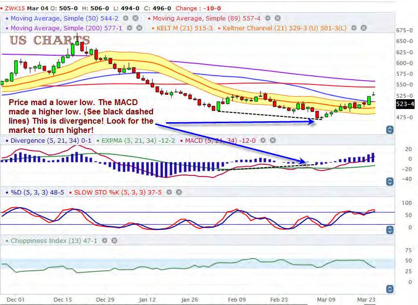 MACD Oscillator/Histogram This is the first pane below the price action on our chart page.