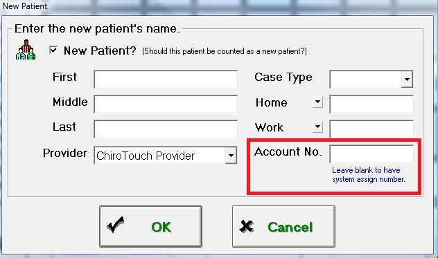 ChiroTouch will assign an account number for you.