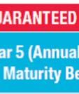 which is a 10-yr saving-type both bancassurance and product with 2% guaranteed rate.