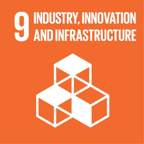 SDG 9: Industry, Innovation and Infrastructure One in five respondents report having problems accessing internet often or always 14% 37% 6% 9% 34% Never Rarely Sometimes Often Always 60+ 50-59 40-49
