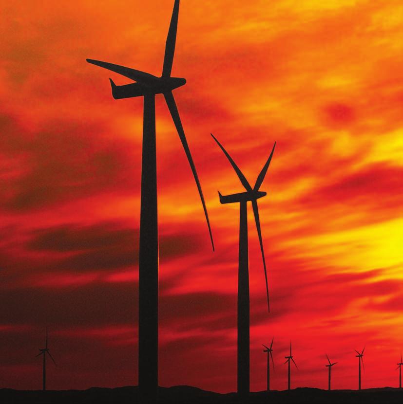 Liability Proposal Form Renewable Energy