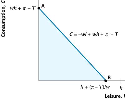Graph Consumer s Budget Constraint Write in slope-intercept form C = wl+ wh+ π T And graph according to T>π Copyright 2002 Pearson Education, Inc.