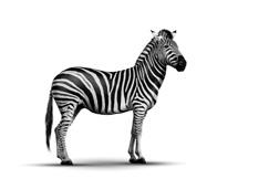 Investec Bank Limited 2017 Reviewed preliminary condensed consolidated financial results for the year ended 31 March 2017 Consolidated income statement For the year to 31 March Reviewed Audited