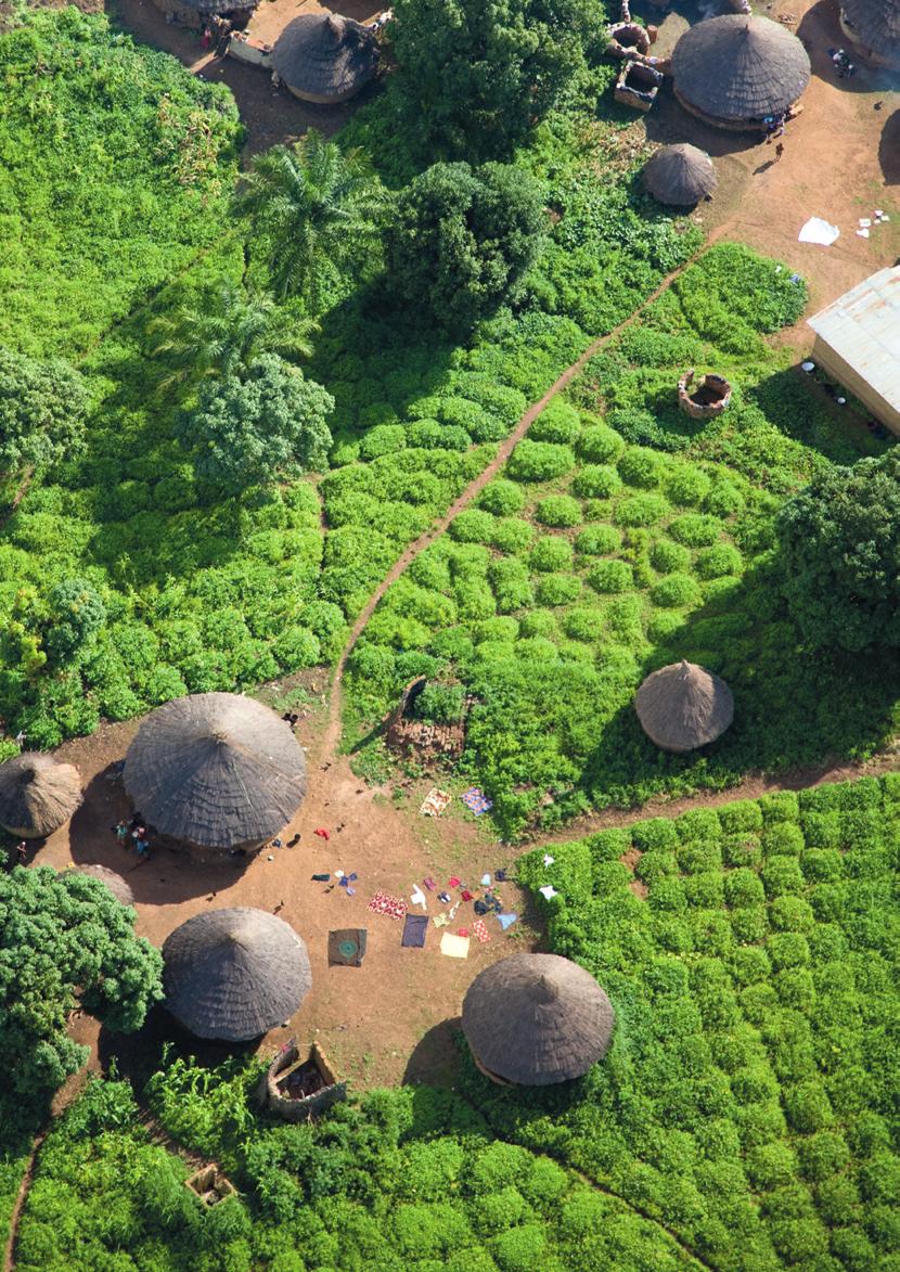 Part IV Catalysing development Left An aerial view of the outskirts of Beyla, Guinea. Parts II and III of this report examine past, present and future core contributions from the Project.