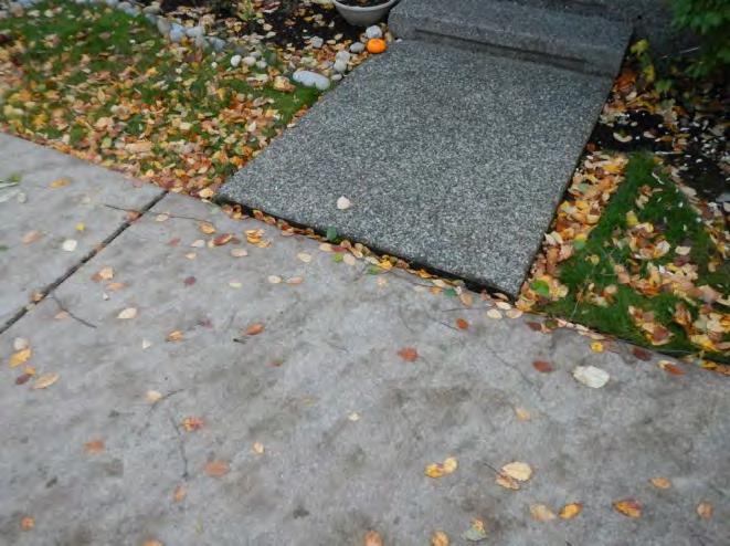 There is a typical amount of settlement in the concrete sidewalks and driveways, and a certain amount of broken concrete curbing.