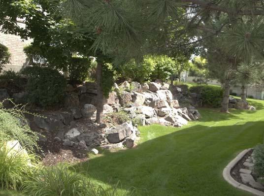 Comp #: 1812 Landscaping - Renovate Common Area Extensive Sq.ft.
