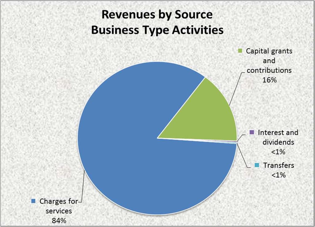 This chart uses the revenues from the Statement of Activities to display a comparison of the business type activities revenues by source: Financial Analysis of the Government s Funds As noted