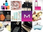 Case Study: Reorganization of Shareholding and Acquisition of a German Company Co-founders of Maesa, a private label beauty business, Gregory and Julien Saada had plans for growth and international