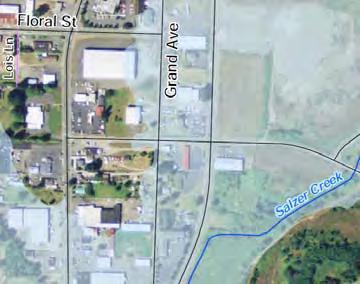Recent floods in the Chehalis River Basin have resulted in extensive damage to private property, livestock, farms, public buildings, and bridges located in the floodplain.