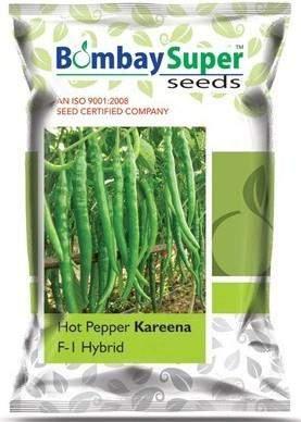 25. Chilly Seeds High quality