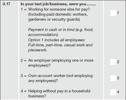 Statistics South Africa 32 02-11-02 Question 3.17 Whom did you work for (Q317WRK4WHOM) (@89 1.) This question establishes whether people were employers, wage earners, self-employed, etc.