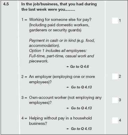 Statistics South Africa 40 02-11-02 Question 4.5 Main work (Q45WRK4WHOM) (@114 1.) This question establishes whether people were employers, wage earners, self-employed, etc.