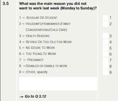All household members in the selected dwelling aged 15 years and older. Question 3.5 Reason for not working (Q35YNOTWRK) (@58 1.