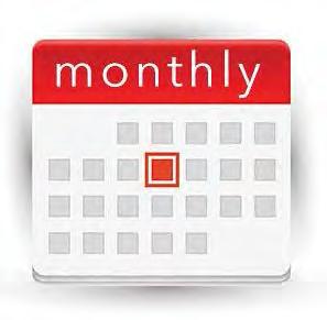 RAPS Monthly Plan Activity Report Provides a summary of the status of submissions for a 1-month period Arrayed by provider type and month based on through date of service Reported by submitter