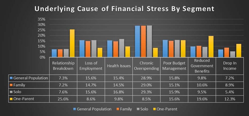 other female segments. Solo women are more likely to use payday loans for car expenses and other one-off items rather than emergency cash scenarios. The family segment mirrors the broader population.