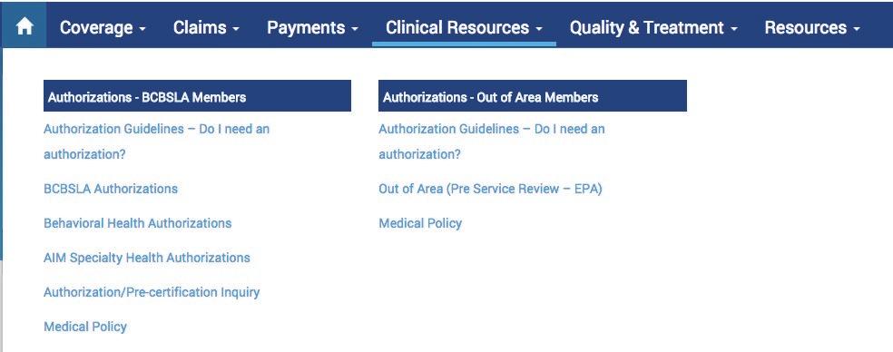 The Clinical Resources menu option is where you will find all information related to authorizations.