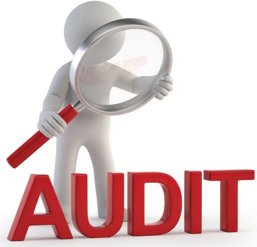 Audit Sec 2(13) of CGST Act Means the examination of records, returns and other documents maintained or furnished by the registered person under this Act or the rules made There under or under any