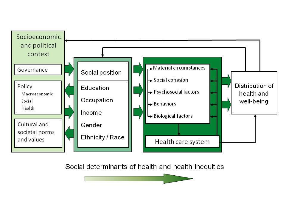 Social determinants of health CSDH (2008) Life course stages Accumulation of positive and negative