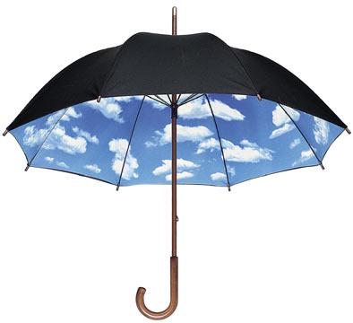 What Is A Personal Umbrella Policy Provides additional liability coverage over and above other policies May
