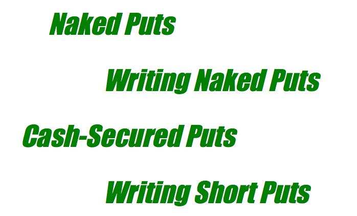 Naked Puts? Short Puts?