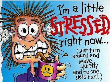 Stress Testing Why