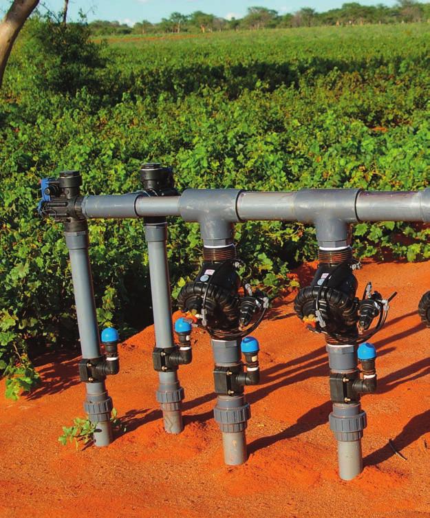 Drip Irrigation -