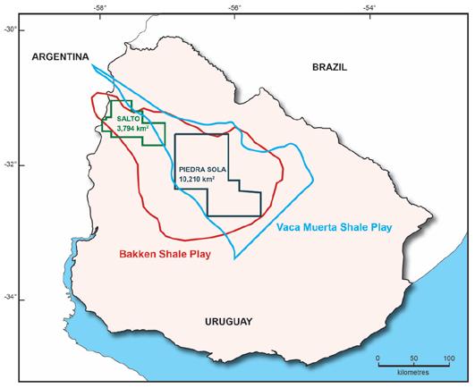 Uruguay How Does Norte Basin Compare? Bakken Analogue Currently producing more than 500,000 bopd and anticipated to increase to more than 1-2 MM bopd by 2020 USGS estimates 7.