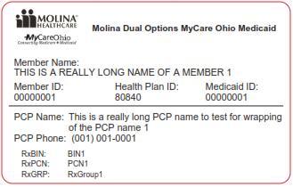 Sample Member Identification Cards Dual Options Medicare and