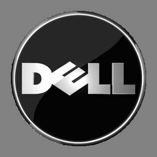 DELL 2Q FY10 PERFORMANCE REVIEW Michael Dell Chairman and CEO