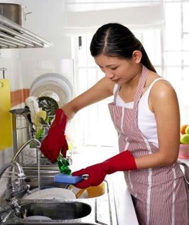 domestic work in an