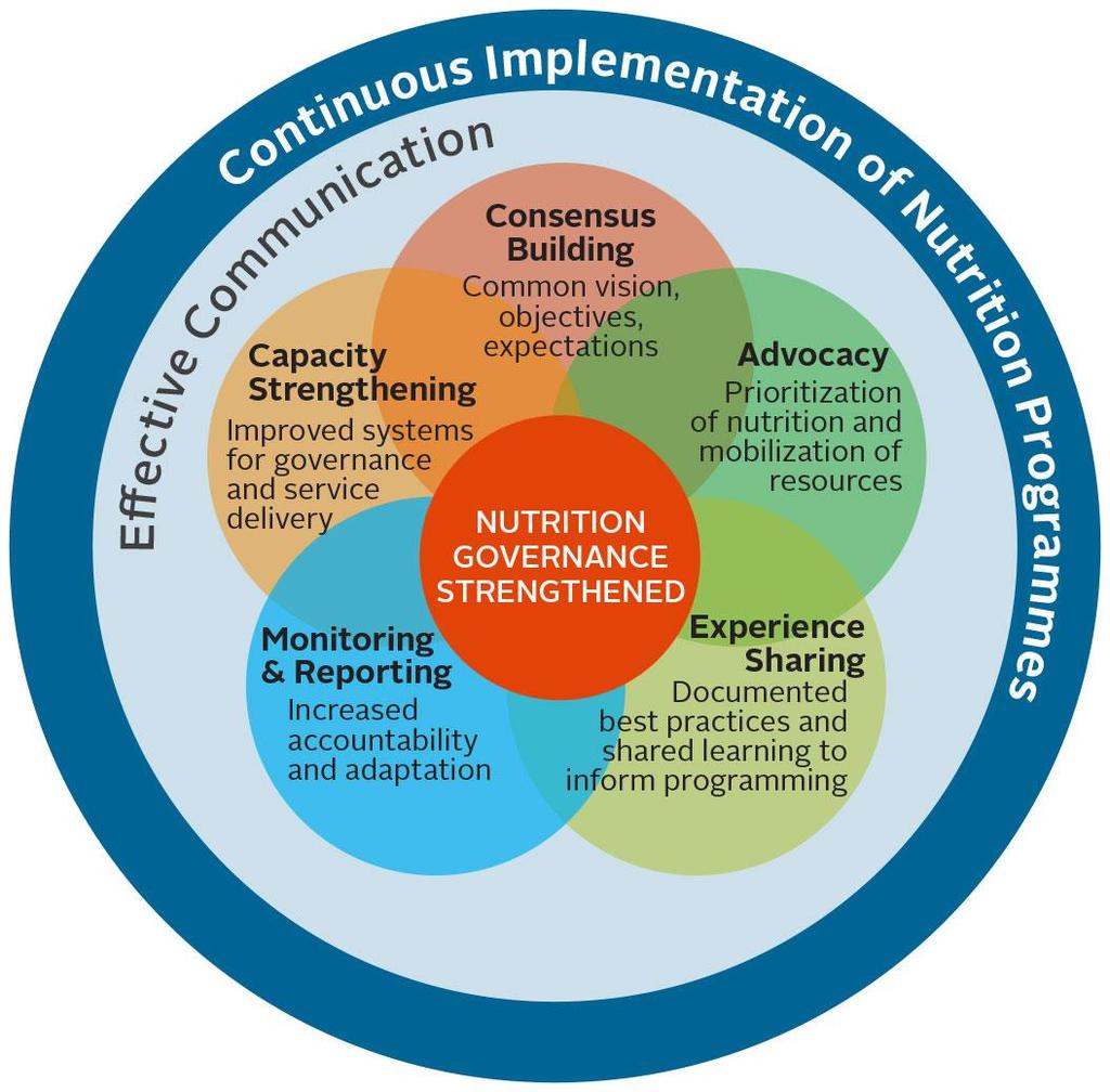 DNCC Initiative Approach to Strengthen Nutrition Governance - OPM has adopted this approach to strengthen nutrition governance at all