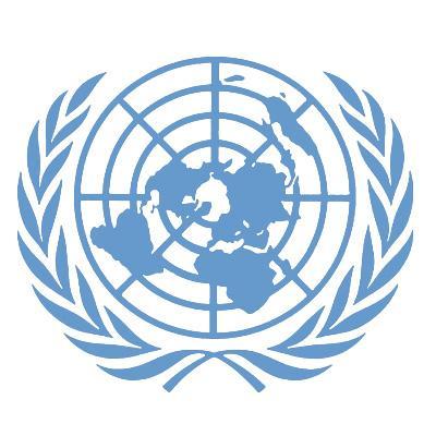United Nations Office of the High Representative for the Least Developed Countries, Landlocked Developed Countries and Small Island Developing States (UN-OHRLLS) The Impact of the Global Financial