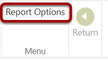 Define your Report Options Click on Report Options Report Sequence The top part of the report options defines when to run the report,